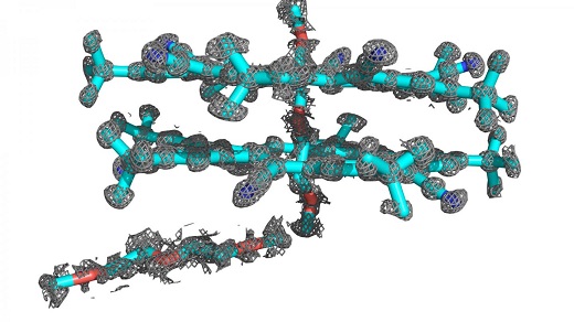 Researchers, led by a team from the Beckman Institute at the University of Illinois, combined the power of two computational programs to determine the atomic structure of the abiological molecule cyanostar. This breakthrough will allow researchers to investigate the structure of more abiological molecules, which are relatively unknown.