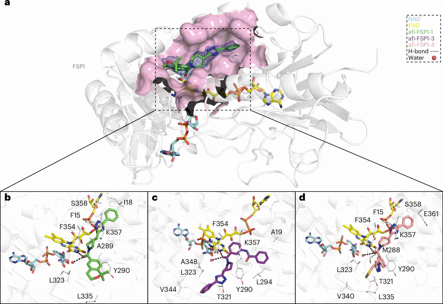 Millions of CPU cores meet 69 billion molecules: AI rewrites the rules of computational drug discovery