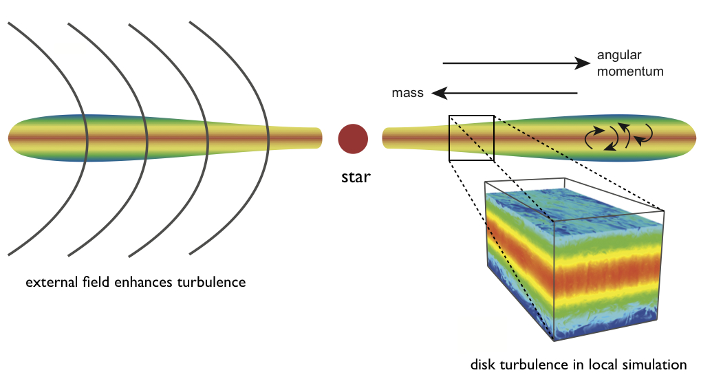 Diagram of a protoplanetary disk around a young star. Angular momentum is transported outward and mass is transported inward and onto the star via disk turbulence. This turbulence is studied using local simulations of a small patch of disk (the 3D box on the lower right; this shows the gas density in the turbulent state). The presence of an external magnetic field similar to the one shown acts to enhance this turbulence in the outer disk regions.