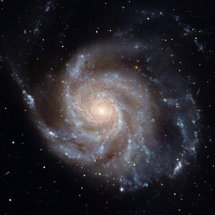 Spiral structure in the Pinwheel Galaxy (Messier 101), as observed by the Hubble Space Telescope. Credit: NASA, ESA, CXC, SSC, and STScI