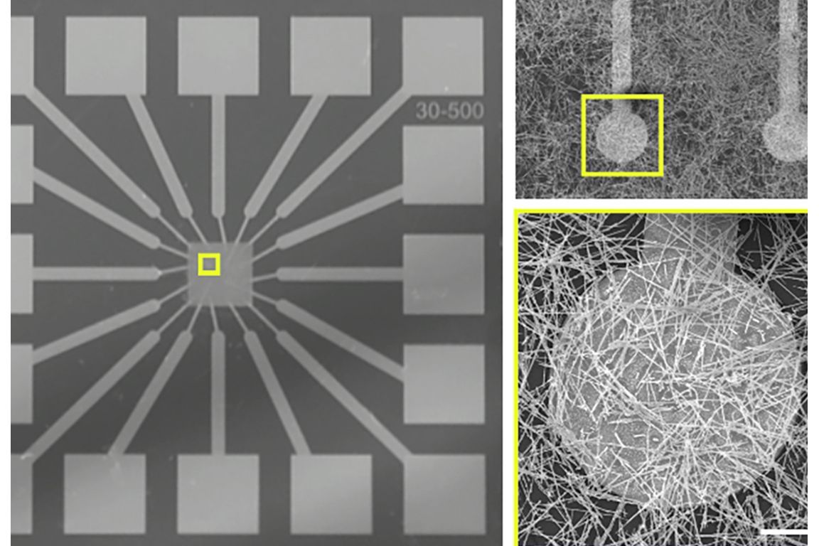 The new platform technology, modeled after the brain, consists of a mesh of silver wires on a bed of electrodes.