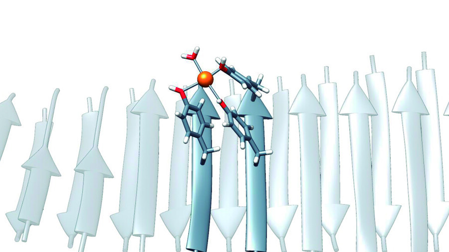 Illustration of the structure of the nanozymes obtained, with details on how the tyrosine amino acids (in red) coordinate the metal ions (in orange).