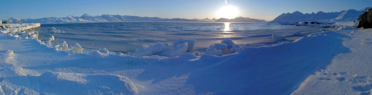 From Svalbard archipelago in the Arctic.