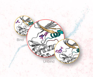 RIKEN researchers have used an enhanced molecular dynamics simulation to simulate the interaction between tyrosine kinase Src, a signaling protein in cells that can turn on protein synthesis and cellular growth, and an inhibitor (magenta), which inhibits the protein by binding to it. Overexpression of the gene that codes for tyrosine kinase Src has been linked with breast, ovarian and colon cancer. The background image shows a colored transmission electron micrograph of tyrosine kinase Src.  Credit: Insets: © 2019 RIKEN Center for Biosystems Dynamics Research; background image: © LINDA BARTLETT/NATIONAL CANCER INSTITUTE/SCIENCE PHOTO LIBRARY