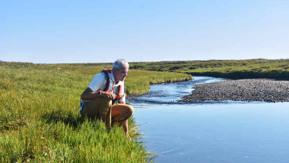 The Arctic in peril: Unveiling the consequences of changing river flows amidst warming