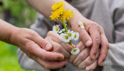 Brown-built model shows how non-drug interventions for patients with Alzheimer’s are both effective, economical