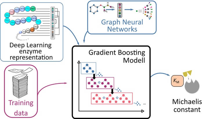 Schematic presentation of the prediction process for Michaelis constants of enzymes using deep learning methods. (Image: HHU / Swastik Mishra)  CREDIT HHU / Swastik Mishra