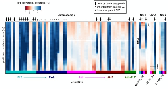 Mutations correlated with mechanisms of resistance to treatment (IRB Barcelona)