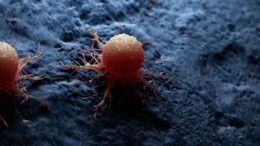 3D rendered medically accurate illustration of a cancer cell (not representative of what’s seen using singlecellVR). Image: SciePro/Shutterstock