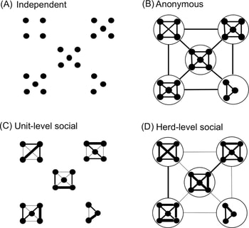 A graphic representation of synchronization models