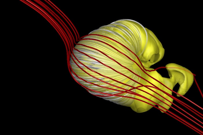 The size and shape of the magnetic “force field” that protects our solar system from deadly cosmic rays has long been debated by astrophysicists.  CREDIT Merav Opher, et. al