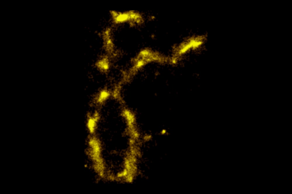 An image of chromosomes at 20 nanometers, captured by light microscopes. (National Cancer Institute/ Hao Zhang, Vadim Backman)