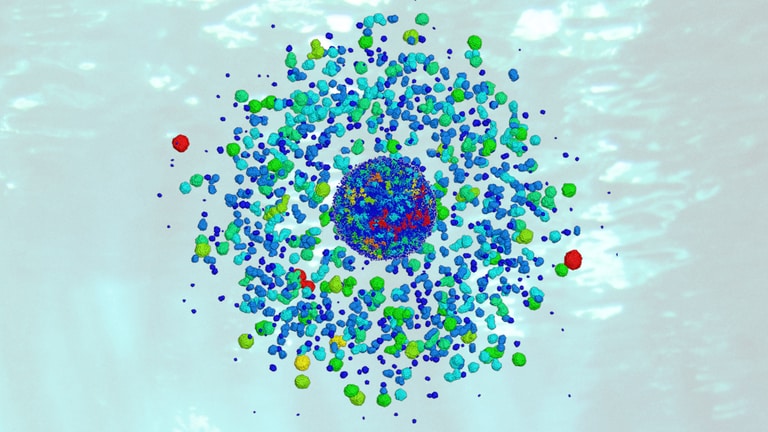 Graphical representation of a bursting gold nanoparticle excited by ultrafast laser. The colors reflect the sizes of the resulting fragments: approx. 3 nm (red), approx. 1 nm (blue). © Zhigilei