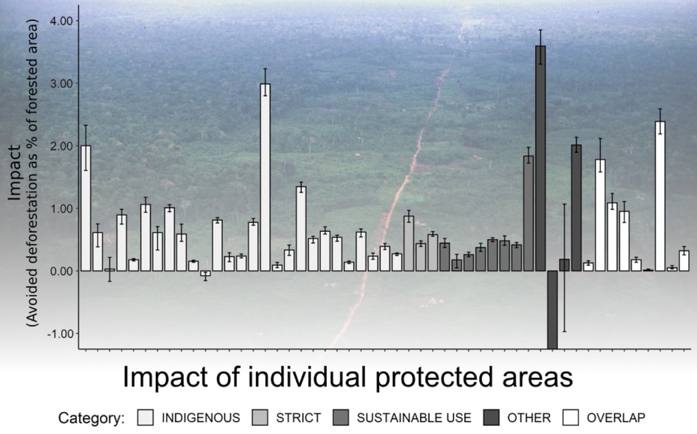 Individual protected areas showed substantial variation in their impact, i.e. estimated amount of prevented deforestation. The average impact over all areas, and also within each protection category, was positive.