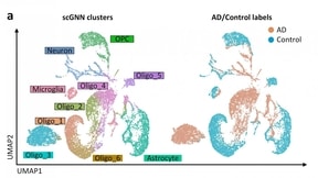 This is a general example of a type of visual that a graph neural network can create with provided biological data.