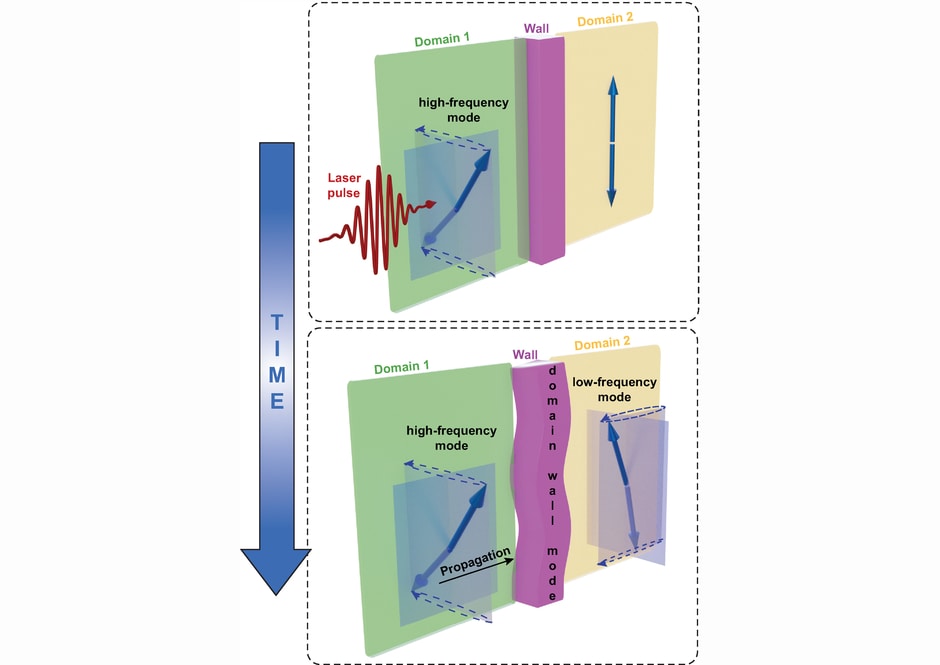 Using femtosecond laser pulses, it is possible to induce magnetic waves (coherent spin waves) in an antiferromagnetic domain (above). The magnetic waves of adjacent domains are coupled with each other across domain walls at the ultrafast timescale (below). Copyright: Davide Bossini