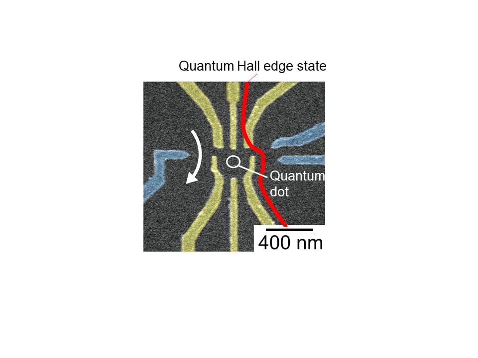 Fig.2 Scanning electron micrograph of the quantum dot device used in this work. (credit: Osaka University)