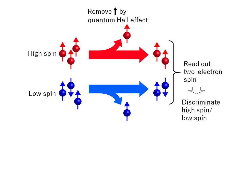 Fig.3 Concept of the high-spin readout. (credit: Osaka University)