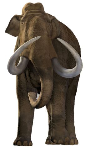 Species interaction changed dramatically after the end of last ice age, the Pleistocene, some 11,000 years ago. Species interaction changed dramatically after the end of last ice age, the Pleistocene, some 11,000 years ago.