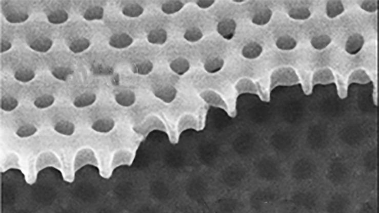 Using a material called yttrium barium copper oxide arrayed with tiny holes, researchers have discovered "strange metal" behavior in a type of system where charge carriers are bosons, something that's never been seen before.