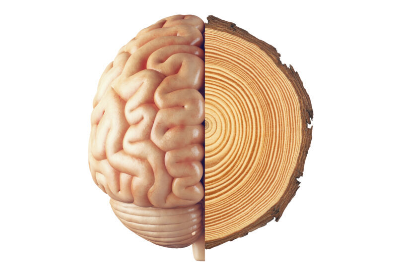 A new artificial intelligence model could be used to accurately capture cognitive decline linked to neurodegenerative diseases much earlier than previous methods. (Illustration/iStock)