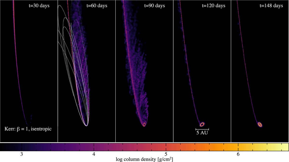 Disk formation in an isentropic simulation (radiatively efficient cooling) with a spinning black hole (a = 0.99, θ = 60°). The disk in this case is formed after 90 days and undergoes differential precession, which "tears" the disk into independent rings. 