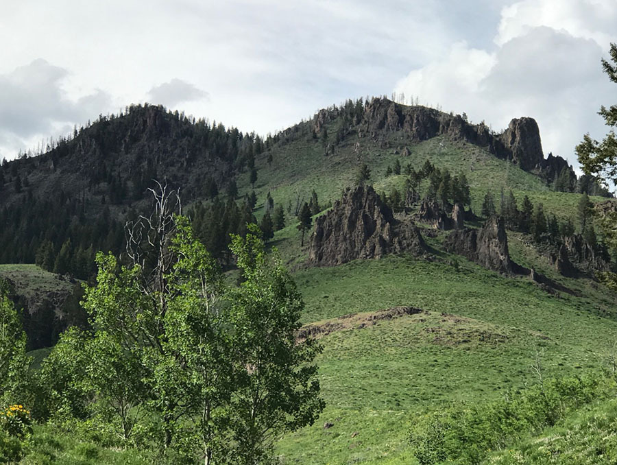 A photo taken of the Big Wood River Basin adjacent to the study site. Photo by Erin Hanan.