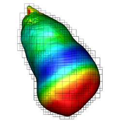 Isosurface of the flame front colored by speed of the flame front. This is a small feature found inside the star as the supernova process begins. Courtesy Rob Sisneros, Dave Semeraro, and Andy Nonaka from data generated by the Woosley PRAC team, University of California Observatories