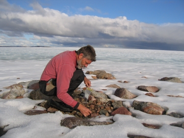 Gifford Miller collects vegetation samples on Baffin Island. (Photo courtesy University of Colorado Boulder.)