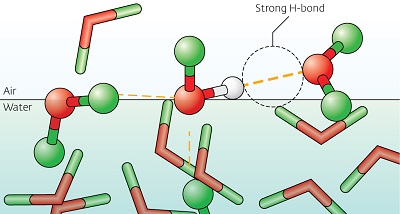 A snapshot from a molecular dynamic simulation reveals that water molecules align at air–water interfaces as coordinated pairs linked by hydrogen bonds.