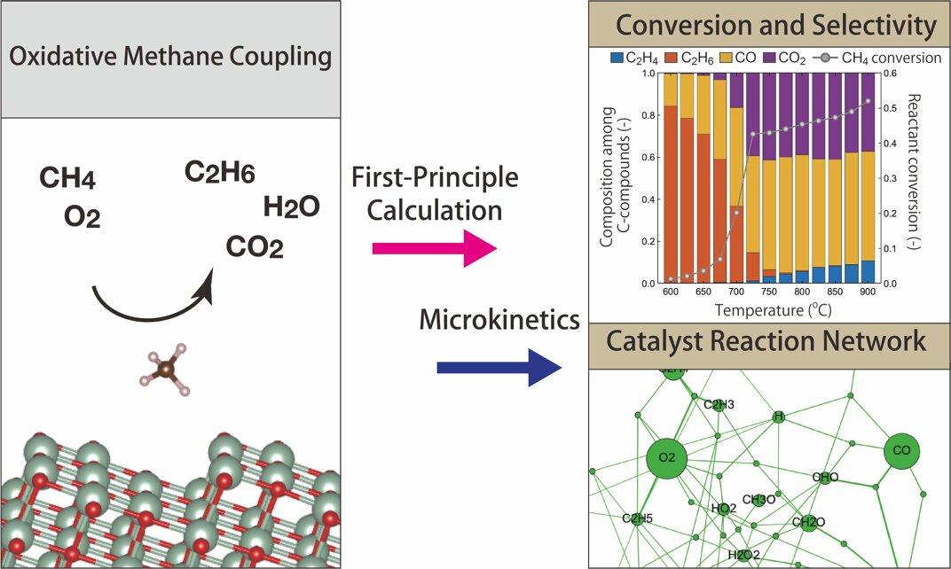 Figure 2. Concept of the studyGraphical concept figure showing the combined approach of first-principle calculation and microkinetics. Catalytic activities such as conversion and selectivity are predicted. The catalytic reaction network is also obtained thus detailed analysis on the catalyst reaction is possible. ©Atsushi Ishikawa