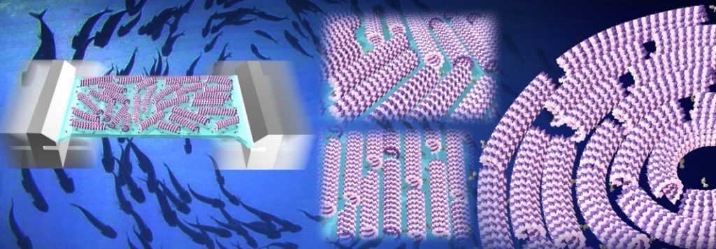 Conceptual drawing of the swarming molecular machines that change moving patterns upon mechanical stimuli.