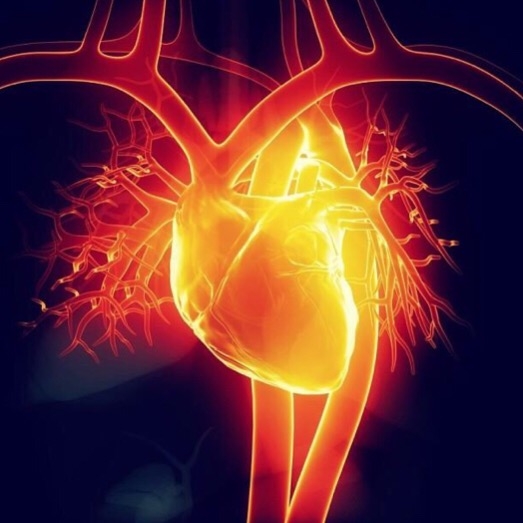 CAPTION Scientists use mathematical modeling to simulate human mesenchymal stem cell delivery to a damaged heart and found that using one sub-set of these stem cells minimises the risks associated with this therapy. The study, published in PLOS Computational Biology, represents a development in novel strategies to repair and regenerate heart muscle and could improve stem cell treatments for heart attack patients. CREDIT Jerry Reyes / Flickr