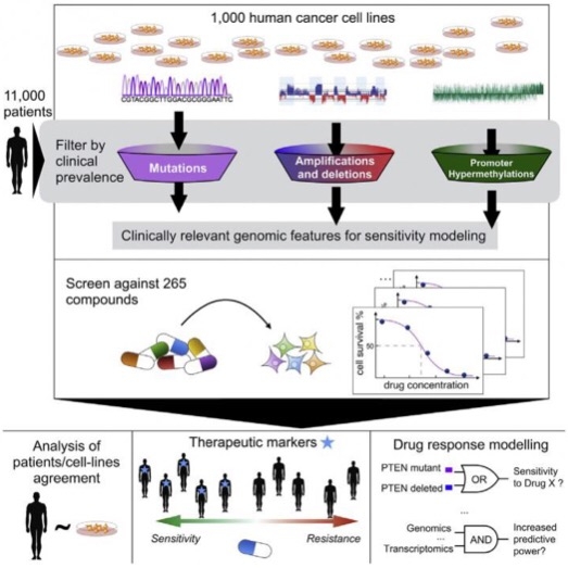 CAPTION This visual abstract captures how a look at the pharmacogenomics landscape of 1,001 human cancer cells lines points to new treatment applications for hundreds of known anti-cancer drugs. CREDIT Iorio et al./Cell 2016