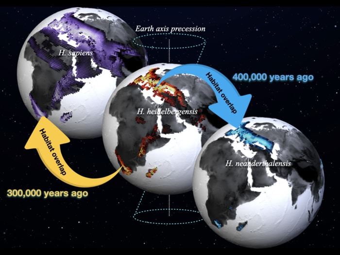 Preferred habitats of Homo sapiens (purple shading, left), Homo heidelbergensis (red shading, middle), Homo neanderthalensis (blue shading, right) calculated from a new paleoclimate model simulation conducted at the IBS Center for Climate Physics and a compilation of fossil and archeological data. Lighter values indicate higher habitat suitability. The dates (1 ka = 1000 years before present) refer to the estimated ages of the youngest and oldest fossils used in the study.