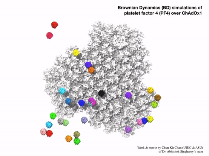 This supercomputer simulation shows a cloud of platelet factor 4 proteins interacting with the electrostatic surface of the Oxford vaccine.  CREDIT Chun Kit Chan, Arizona State University