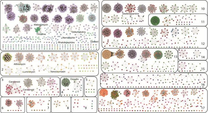 PREDICTED POTENTIAL OF ENTEROBACTERIA TO PRODUCE NOVEL COMPOUNDS THAT MAY HAVE PATHOGENIC AS WELL AS INDUSTRIALLY-RELEVANT PROPERTIES  CREDIT OMKAR S. MOHITE.