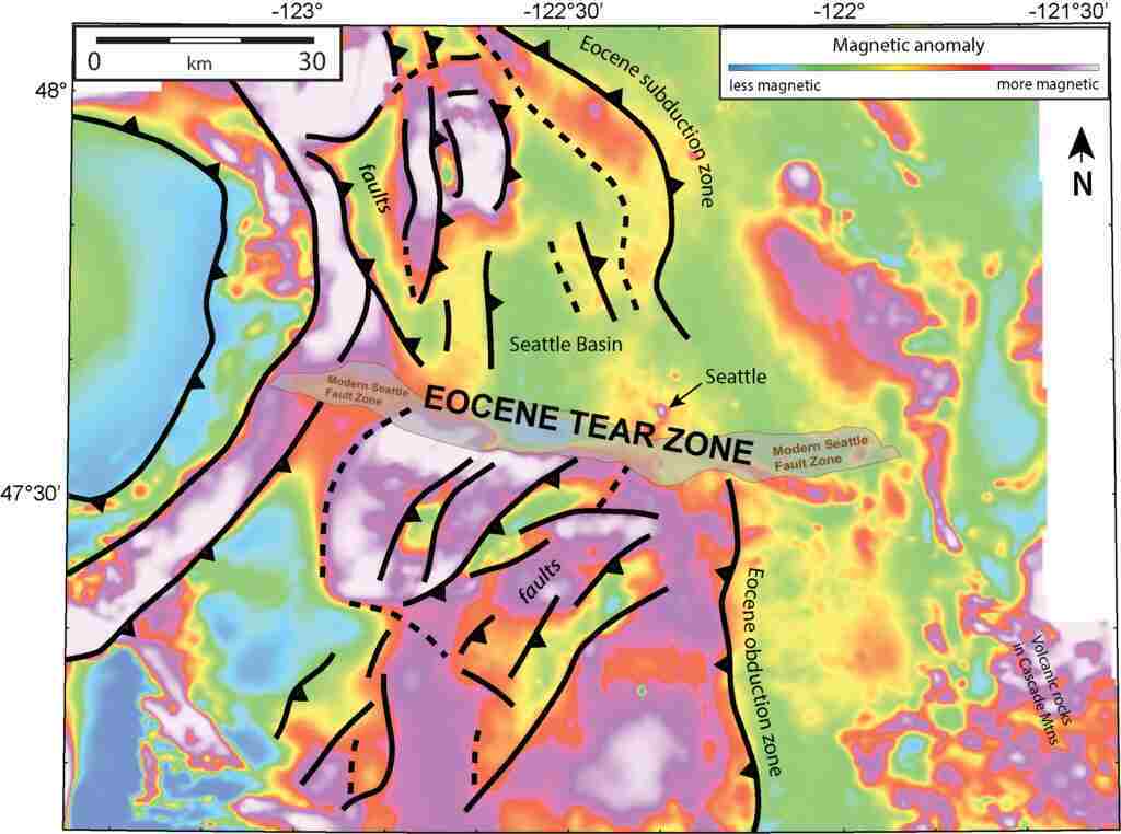 The background colors in the aerially collected magnetic data of western Washington show that faults on either side of the modern Seattle fault are oriented in different directions. This suggests a significant disconnect between the north and south. A new Tectonics study suggests that a massive tear could have formed between subducting and obducting material due to the strain. The black lines in the image represent the faults. The credit for the image goes to Anderson et al./Tectonics, which has been modified.