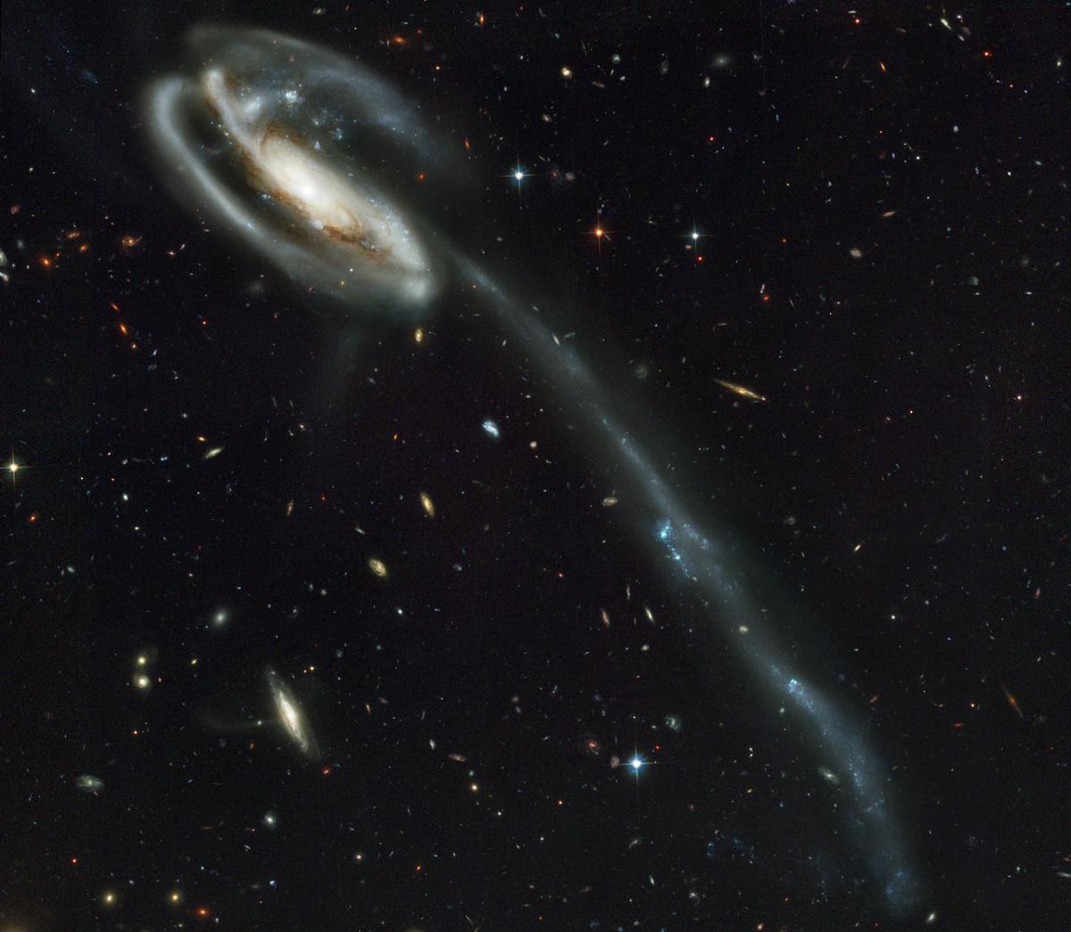 An optical image of the "Tadpole" galaxy, an interacting galaxy, taken by the Hubble Space Telescope. Material stripped from the galaxy during its collision with a smaller galaxy (seen in the upper left corner of the larger interaction partner) forms a long tidal tail. Young blue stars, star clusters and tidal dwarf galaxies are born in these tidal debris. These objects move in a common direction within a plane defined by the orientation and motion of their tidal tail. A similar galaxy interaction might have occurred in the Local Group in the past, which could explain the distribution of dwarf galaxies in co-rotating planes.  Credit: NASA, Holland Ford (JHU), the ACS Science Team and ESA