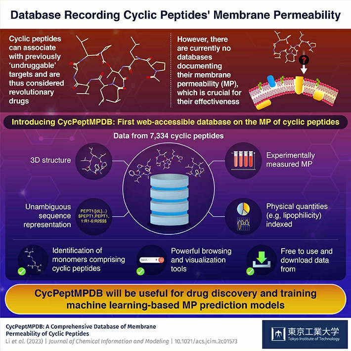 Tokyo Tech deploys database online aimed at boosting drug design using cyclic peptides