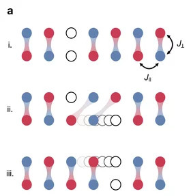 Binding mechanism in a magnetically ordered system. The red and blue spheres are spins of opposite orientations, the… [more]  © MPQ