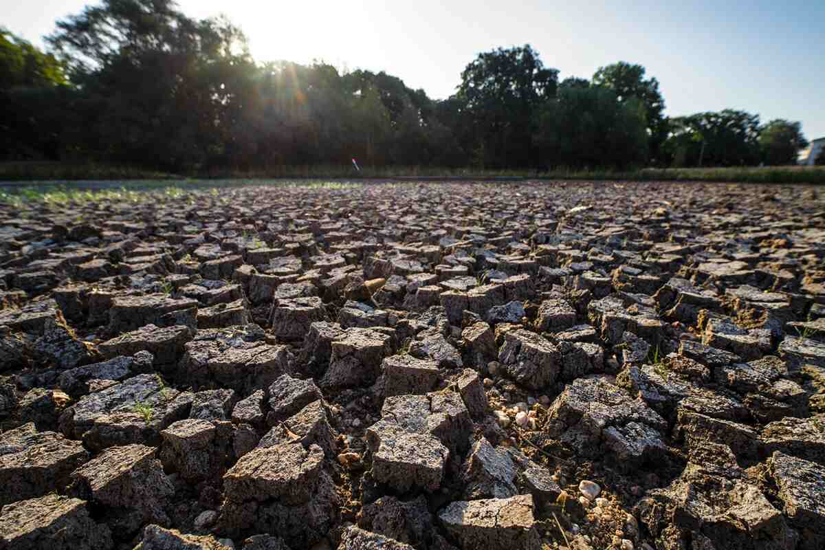 Climate change intensifies extreme heat in the soil Photo: André Künzelmann / UFZ