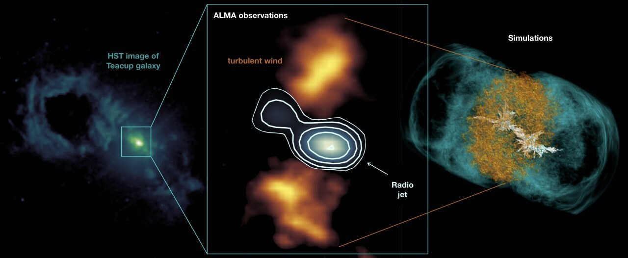 The compact radio jet in the center of the Teacup galaxy blows a lateral turbulent wind in the cold dense gas, as predicted by the simulations. Credit: HST/ ALMA/ VLA/ M. Meenakshi/ D. Mukherjee/ A. Audibert