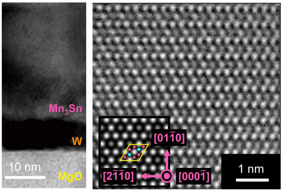 Mn3Sn. (Left) A cross-sectional transmission electronic microscope image of the research material on a layer of tungsten (W) and magnesium oxide (MgO). (Right) A top down view of the material with an inset image showing manganese atoms in red and tin atoms in light blue. ©2022 Nakatsuji et al.