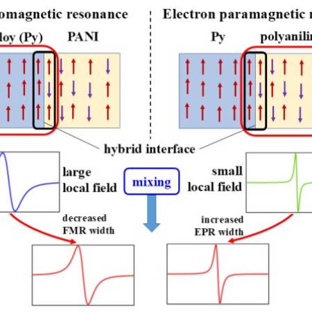 Breakthrough in spin current observations from organic semiconductors