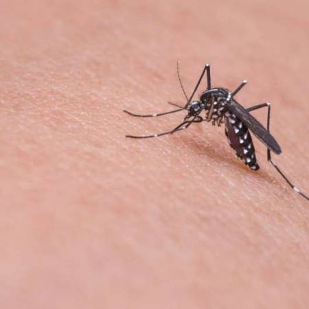 Unveiling the future of mosquito repellents: Machine learning leads the way