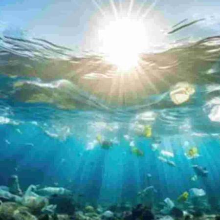 Darkening oceans: New study reveals alarming decline in marine light zones