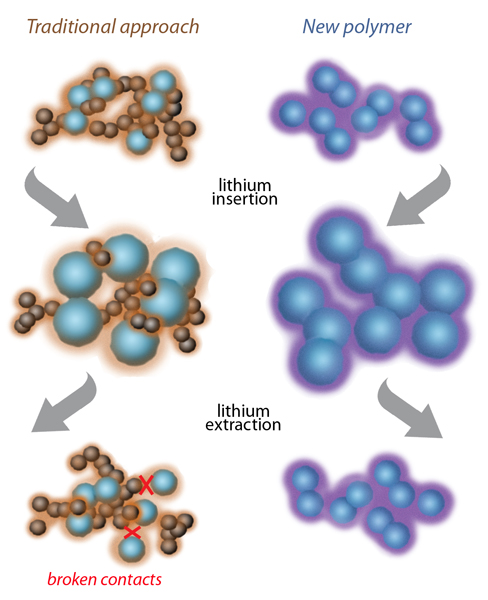 At left, the traditional approach to composite anodes using silicon (blue spheres) for higher energy capacity has a polymer binder such as PVDF (light brown) plus added particles of carbon to conduct electricity (dark brown spheres). Silicon swells and shrinks while acquiring and releasing lithium ions, and repeated swelling and shrinking eventually break contacts among the conducting carbon particles. At right, the new Berkeley Lab polymer (purple) is itself conductive and continues to bind tightly to the silicon particles despite repeated swelling and shrinking.