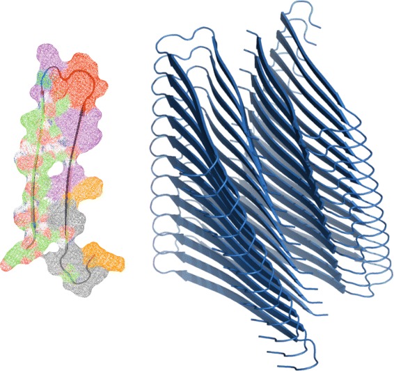Fibrilizer for wrangling proteins gone wild