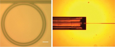 Researchers have created a tiny microring resonator, at left, small enough to fit on a computer chip. The device converts continuous laser light into numerous ultrashort pulses, a technology that might have applications in more advanced sensors, communications systems and laboratory instruments. At right is a grooved structure that holds an optical fiber leading into the device. (Birck Nanotechnology Center, Purdue University)